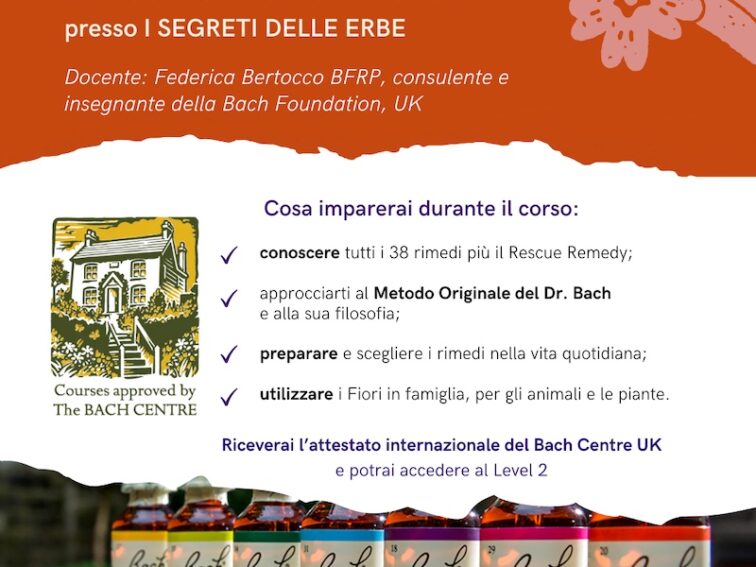 Corso ONLINE