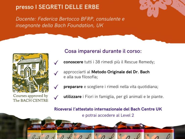 Corso ONLINE